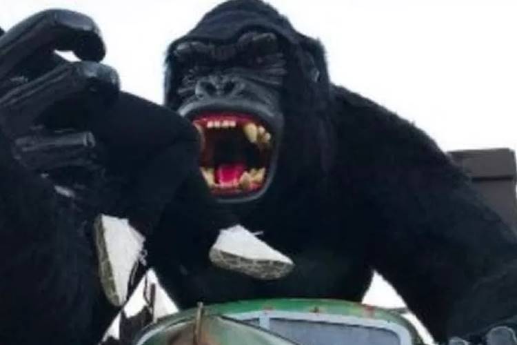 Criança de 6 anos sofre traumatismo craniano após cair de atração no Beto Carrero World