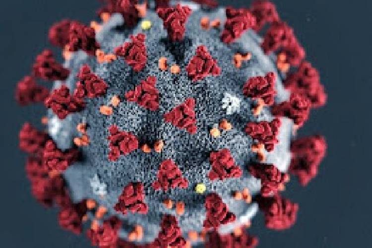 Mundo ultrapassa marca de 200 milhões de casos de covid-19