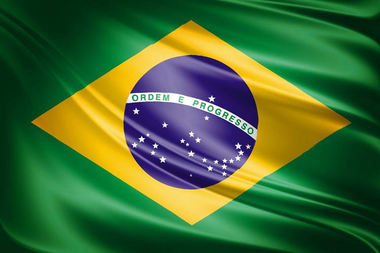 Em convocação para o 7 de Setembro Bolsonaristas criticam STF